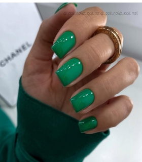 Haute