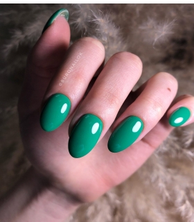 Haute