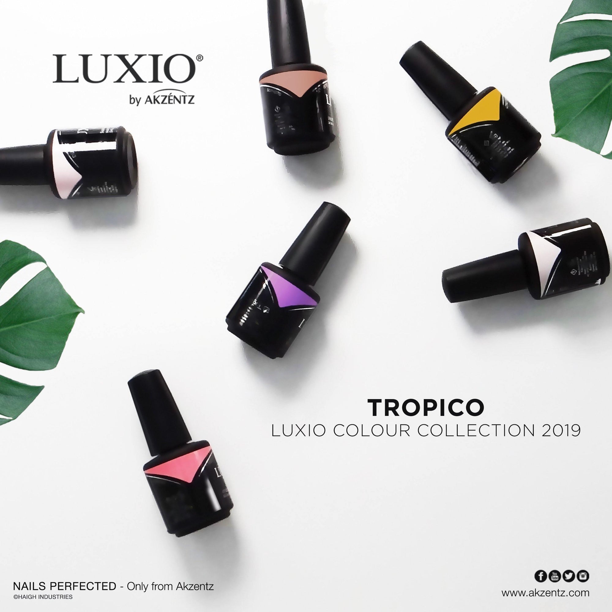 Luxio Tropico